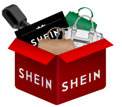 Shein1