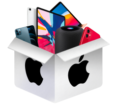 apple1